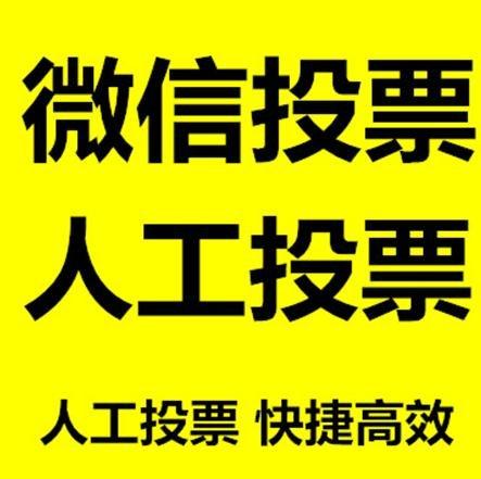 辽阳市投票活动拉票能被查出来吗？如何操作能不被发现？